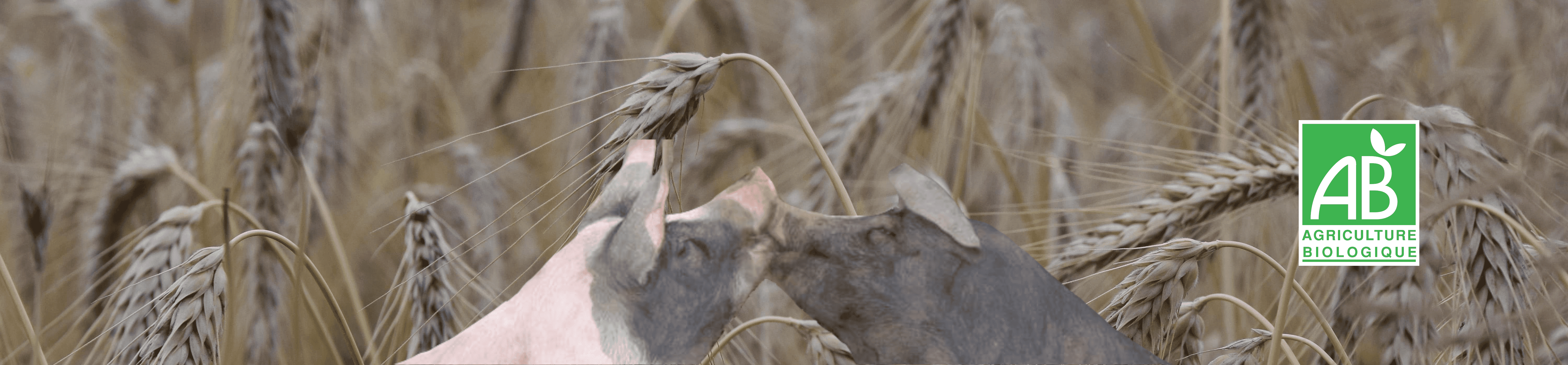 image header freydt-drouan & fils